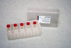 SeraCare HPV Genotype Panel